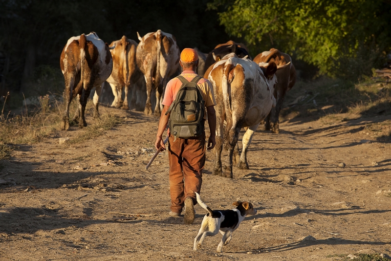 922 - ON THE WAY HOME - KISS IMRE - hungary.jpg